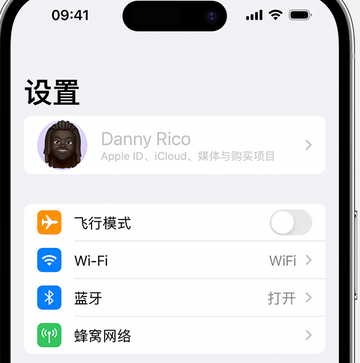 志仲镇appleID维修服务iPhone设置中Apple ID显示为灰色无法使用 