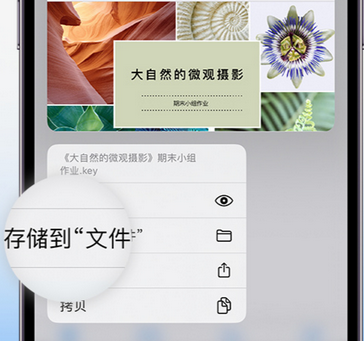 志仲镇apple维修中心分享iPhone文件应用中存储和找到下载文件