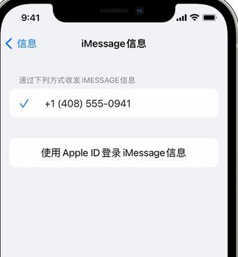 志仲镇apple维修iPhone上无法正常发送iMessage信息 