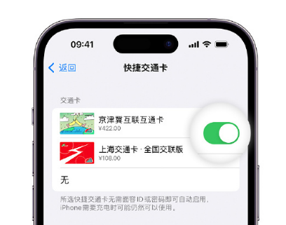 志仲镇apple维修点分享iPhone上更换Apple Pay快捷交通卡手绘卡面 