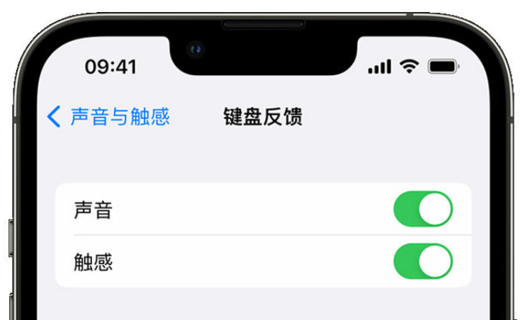 志仲镇苹果手机维修分享iPhone 14触感键盘使用方法 