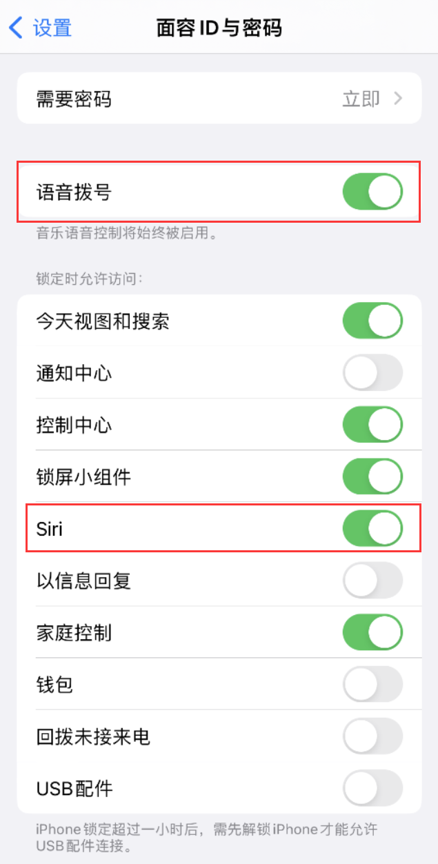 志仲镇苹果维修网点分享不解锁 iPhone 的情况下通过 Siri 拨打电话的方法 