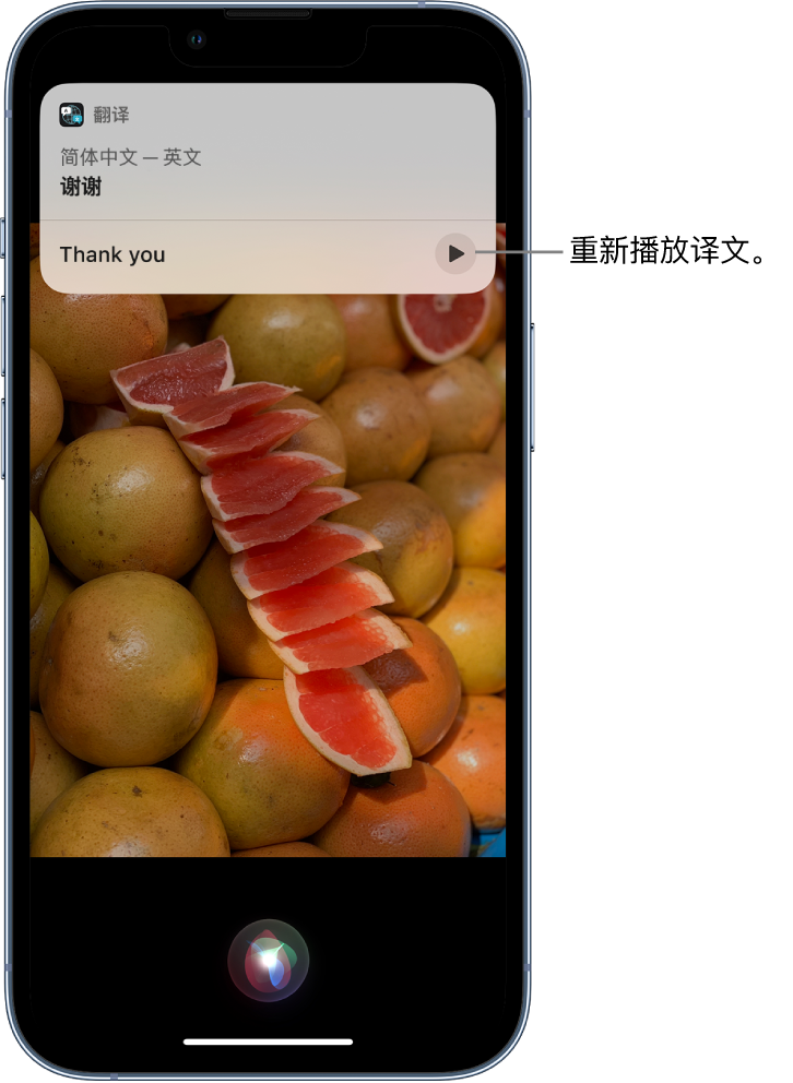 志仲镇苹果14维修分享 iPhone 14 机型中使用 Siri：了解 Siri 能帮你做什么 