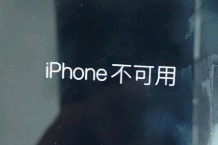 志仲镇苹果服务网点分享锁屏界面显示“iPhone 不可用”如何解决 