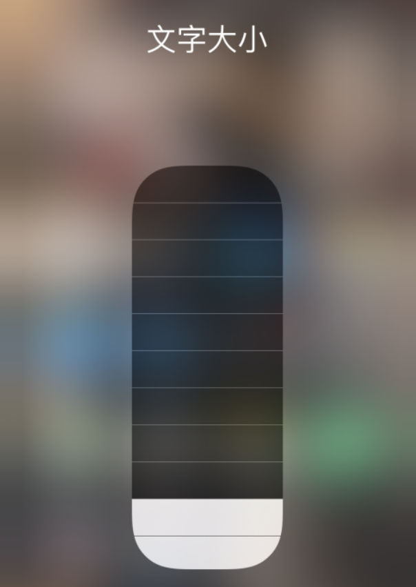 志仲镇苹果手机维修分享小技巧：在 iPhone 控制中心快速调节字体大小 