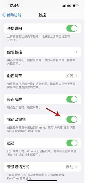 志仲镇苹果手机维修分享iPhone手机如何设置摇一摇删除文字 